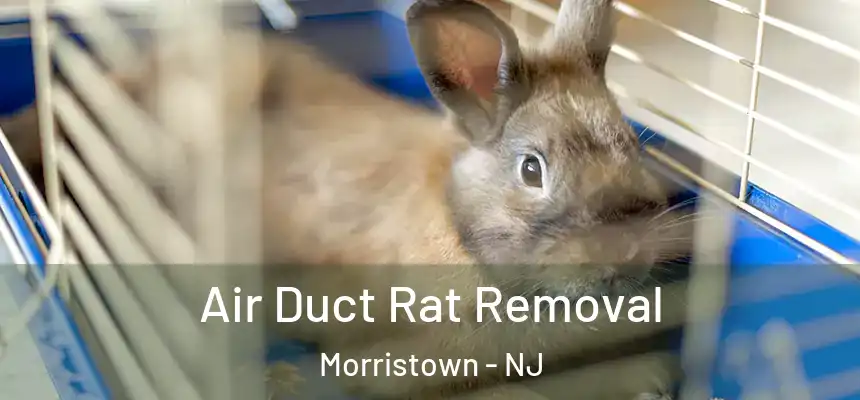  Air Duct Rat Removal Morristown - NJ