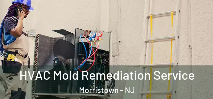 HVAC Mold Remediation Service Morristown - NJ