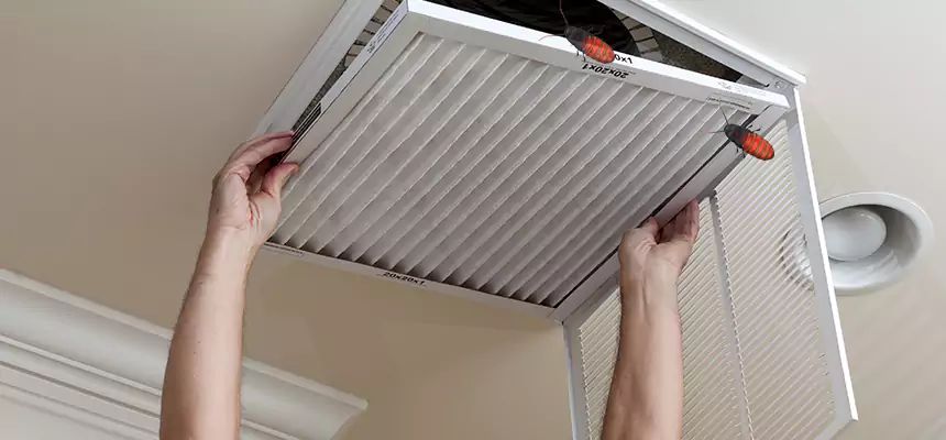 Our Insect Removal from Air Ducts Services in Morristown, NJ
