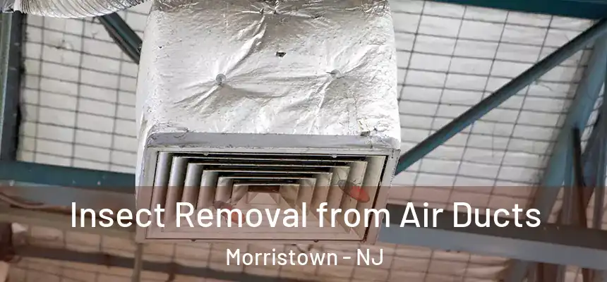  Insect Removal from Air Ducts Morristown - NJ