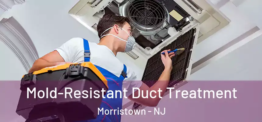  Mold-Resistant Duct Treatment Morristown - NJ