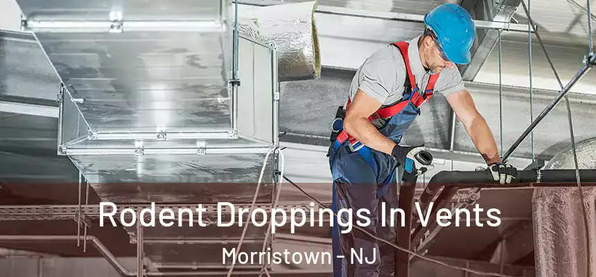  Rodent Droppings In Vents Morristown - NJ