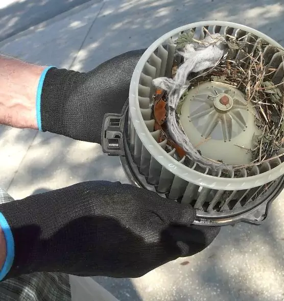 About Air Duct Mice Removal in Morristown, NJ