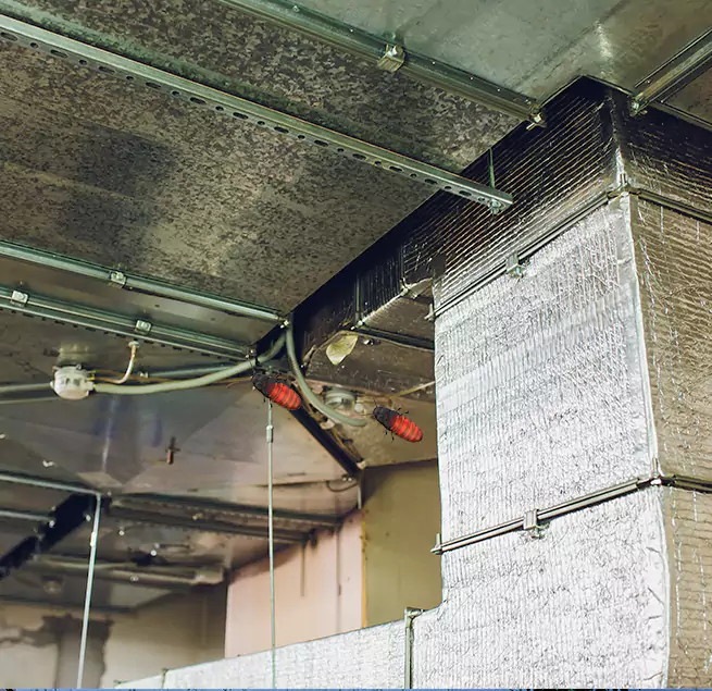 Why Homeowners & Businesses Trust Us in Morristown, NJ?