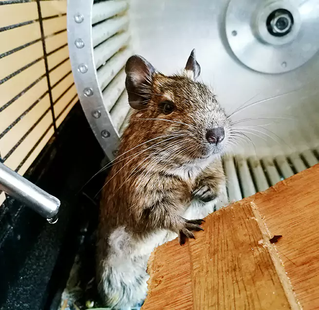 Why Homeowners & Businesses Trust Us Morristown, NJ?